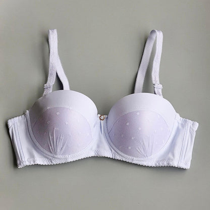 Fancy Lace Padded Pushup Bra
