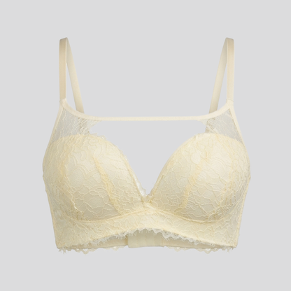 Whisper Net Pushup Bra