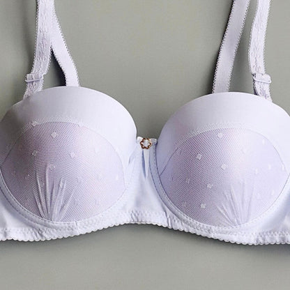 Fancy Lace Padded Pushup Bra